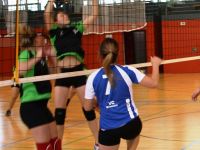 IMG_1253.jpg