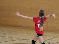 IMG_9381.jpg