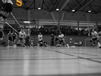 _DSC4017-Kopie.jpg