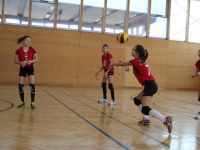 IMG_9378.jpg