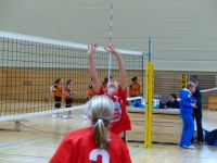 P1020048.JPG