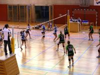 IMG_1275.jpg