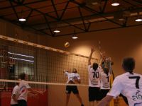 IMG_8487.JPG
