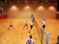 IMG_8437.JPG